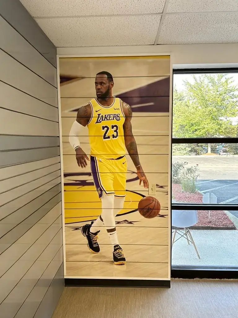 Custom Panel Lebron