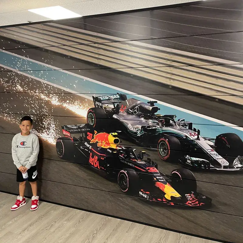 PVC Panel Printed
